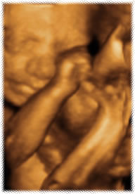 4D Ultrasound of baby at 28 weeks pregnancy